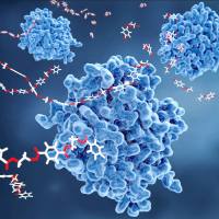 蛋白其他修饰分析