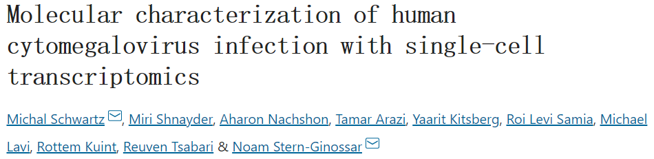单核细胞测序+空间转录组测序:揭示脊髓损伤后与运动能力恢复有关的特异性神经元