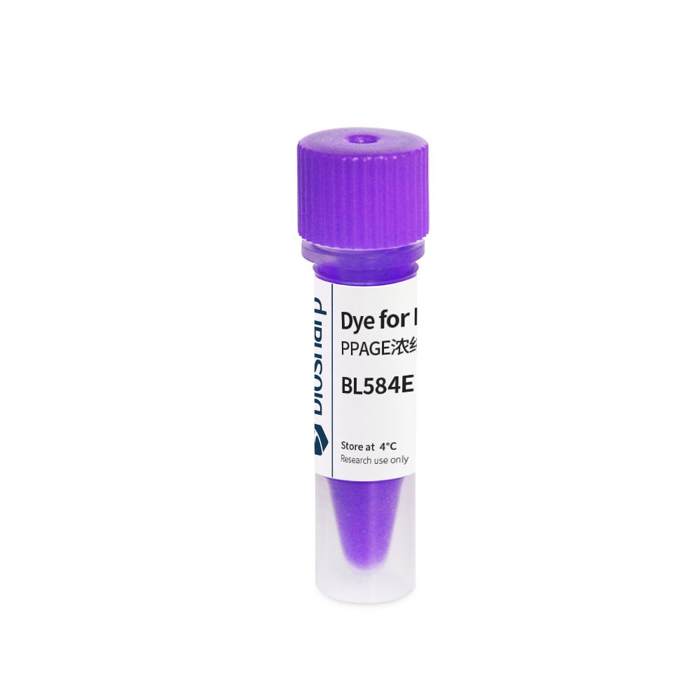BL584E 蛋白凝胶(PAGE)浓缩胶色染料（紫色）