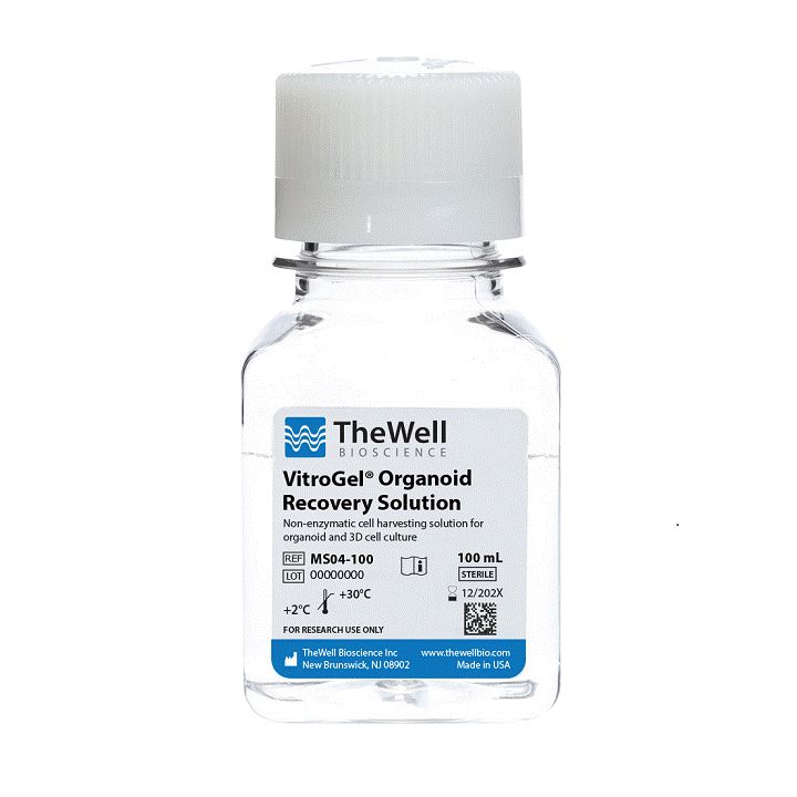 VitroGel® Organoid Recovery Solution 类器官专用回收液 MS04