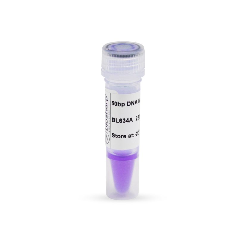 BL634A 50bp DNA Marker分子量标准（50-600bp）