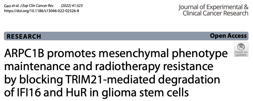 IF12.658｜单细胞测序揭示胶质瘤干细胞间质表型的维持和放疗抗性的潜在机制