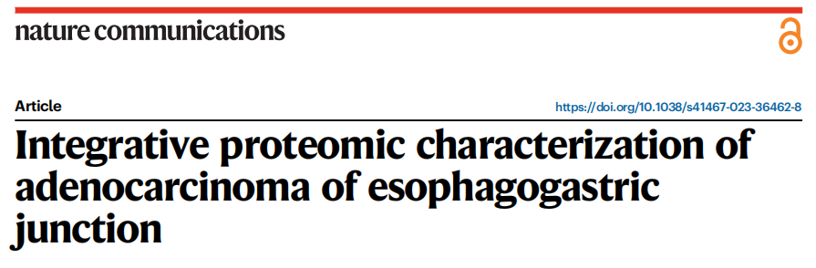 NC IF17! 浙江省肿瘤医院程向东/覃江江教授团队揭示食管胃结合部腺癌的综合蛋白质组学特征