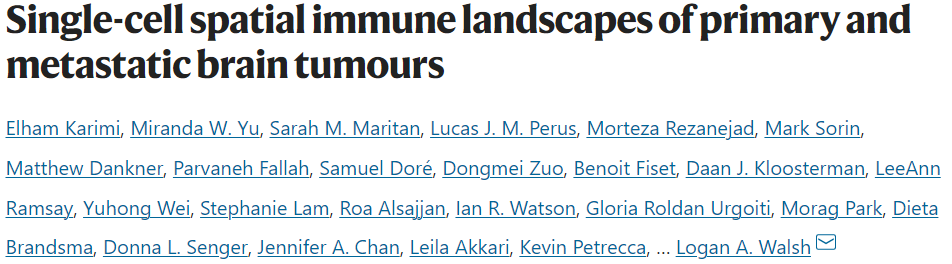 单核细胞测序+空间转录组测序:揭示脊髓损伤后与运动能力恢复有关的特异性神经元