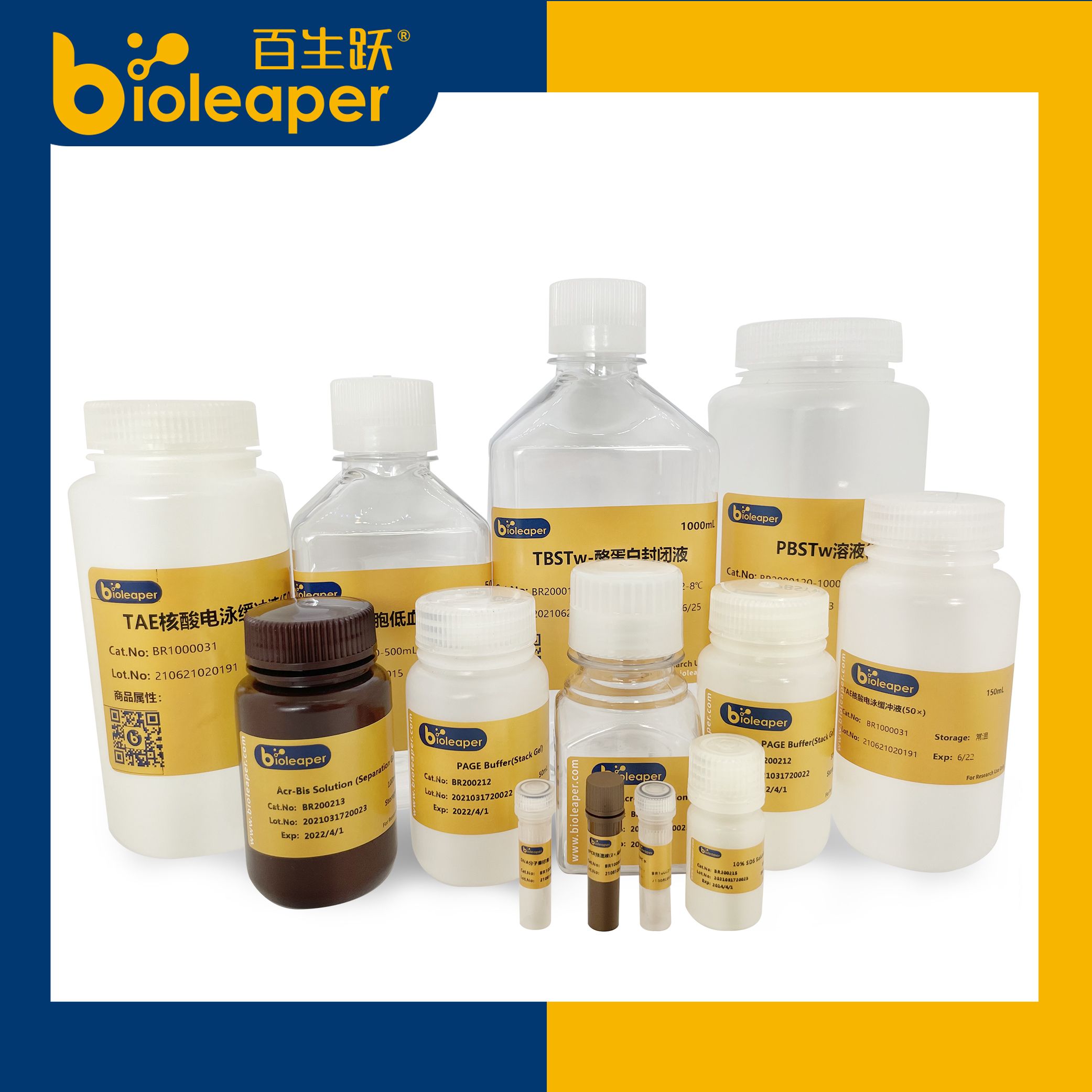 bioleaper® Mouse TNF-α ELISA kit（小鼠肿瘤坏死因子-α）