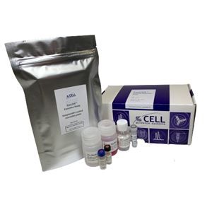 ExoLISA CD81 Exosome Assay 外泌体荧光免疫测定试剂盒 EX503