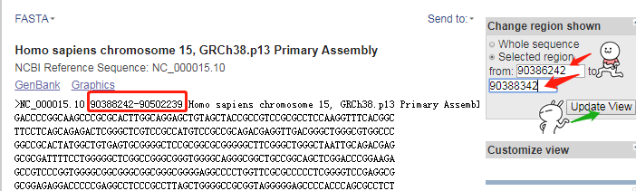 基因启动子序列查找和转录因子预测
