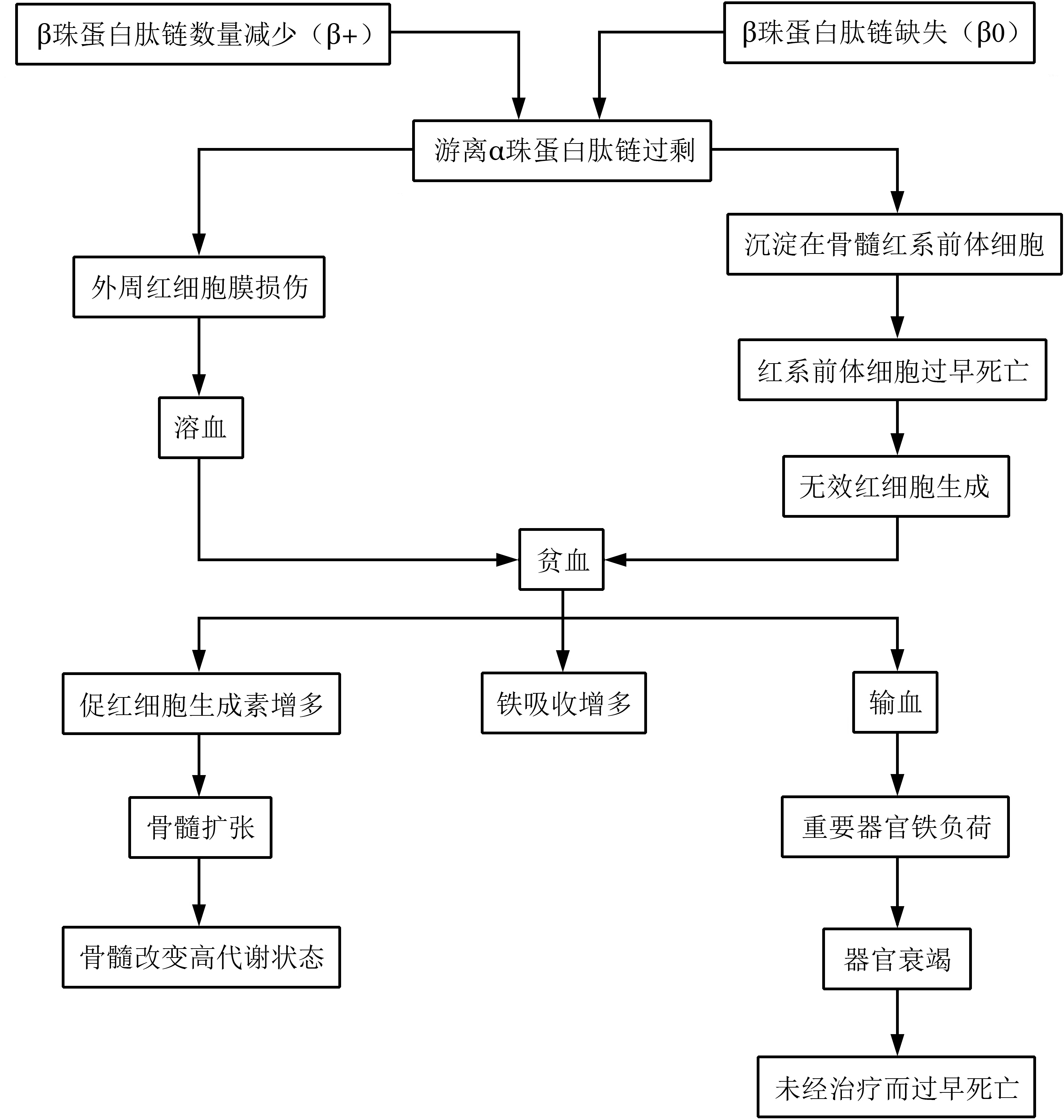 图片预览