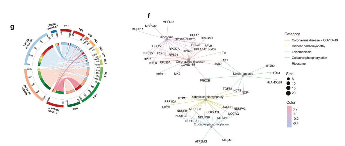 分子探针与表观遗传学研究好文分享:从结核病床边到工作台: UBE2B剪接作为一种潜在的生物标志物及其调控机制(IF=38.12)