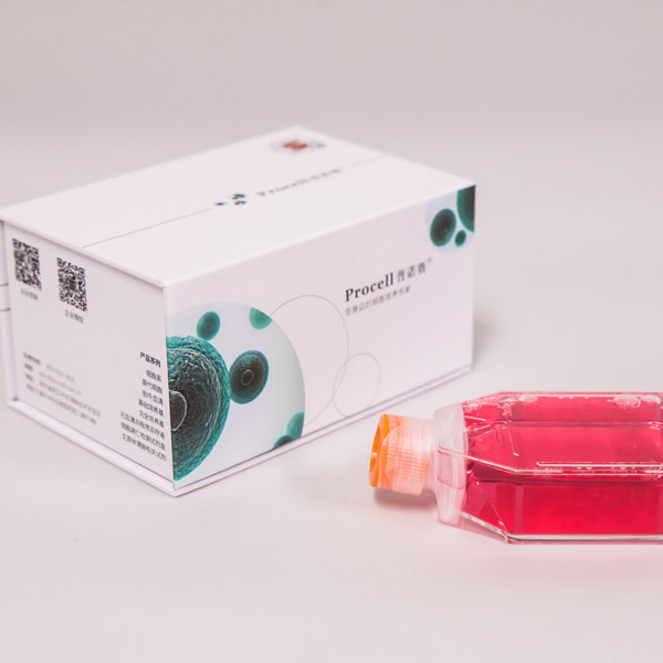 开学大促 | 1680元抢购细胞培养新装备