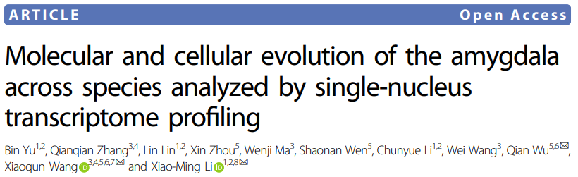 单核细胞测序+空间转录组测序:揭示脊髓损伤后与运动能力恢复有关的特异性神经元
