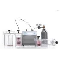 智能厌氧微生物培养系统  厌氧工作站 厌氧培养箱