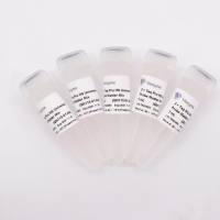 通用型超敏高耐受探针法检测试剂 Taq Pro HS Universal Probe Master Mix(QN113)