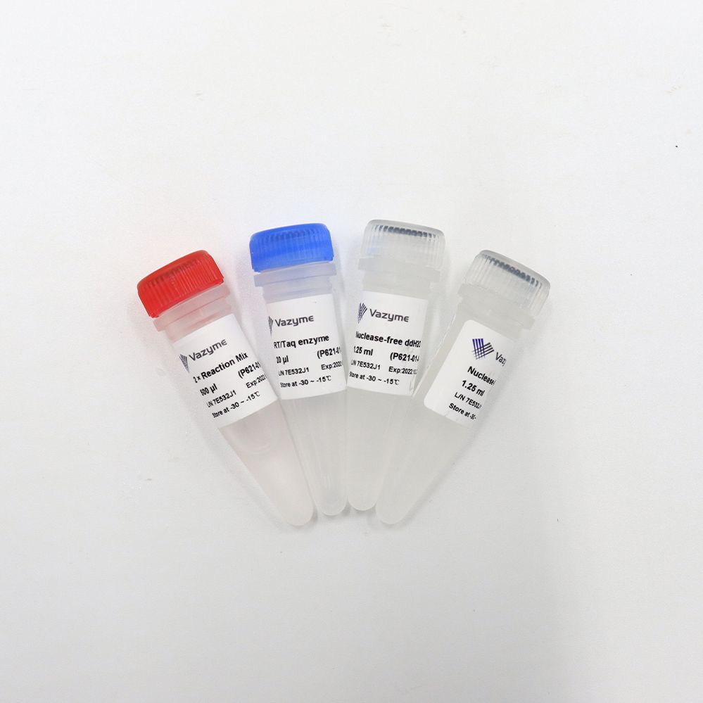 Single Cell Sequence Specific Amplification Kit（用于单细胞或微量总RNA中转录组的扩增）（P621）
