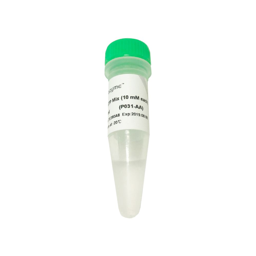 dNTP Mix（10 mM each）用于高灵敏度和高重复性的PCR和RT-PCR（P031）