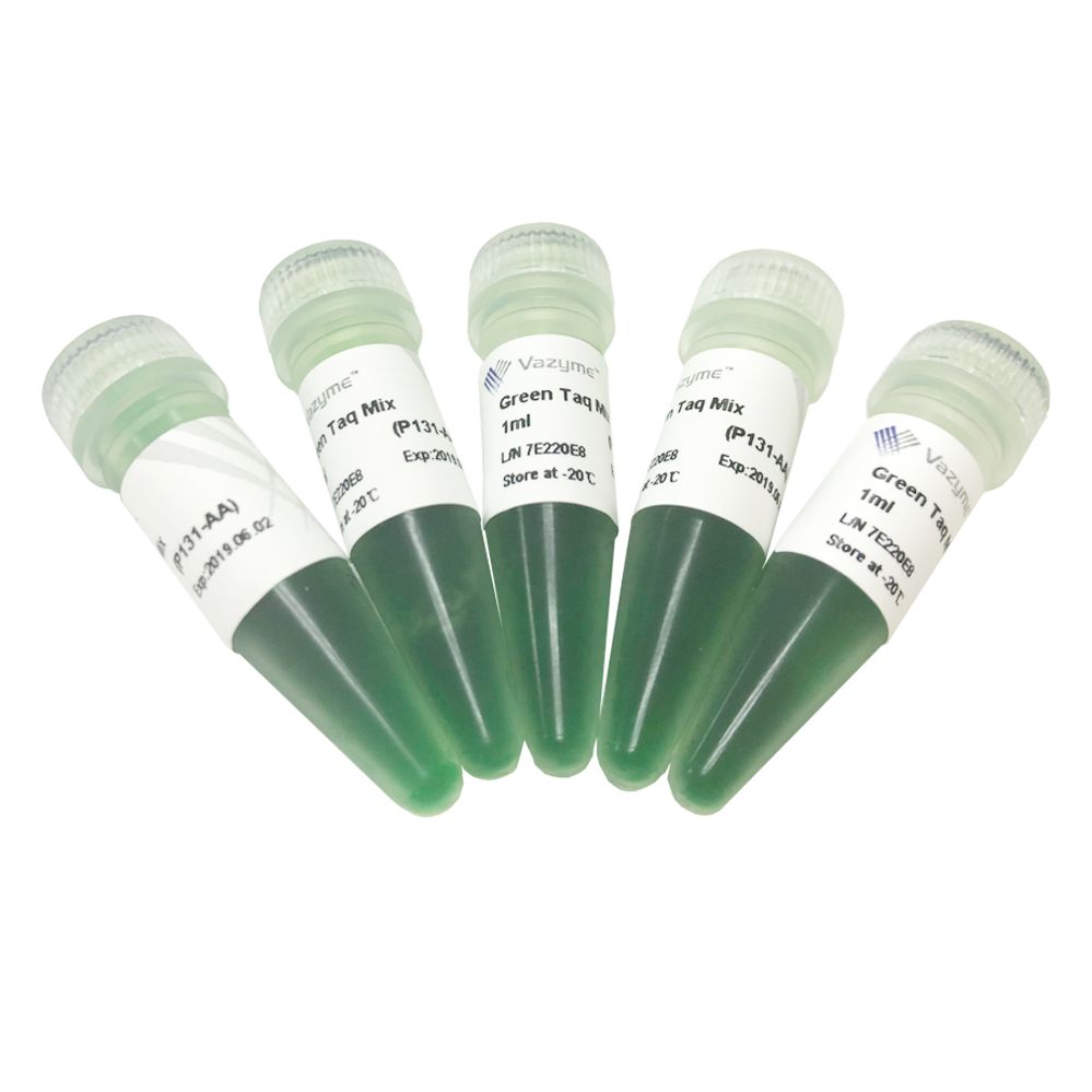 扩增性能强的 DNA 聚合酶 Green Taq Mix（P131）