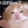 user-title