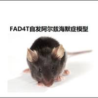 FAD4T自发阿尔兹海默症模型