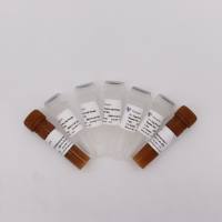 超敏高耐受探针法检测试剂 Taq Pro HS Probe Master Mix（QN111）