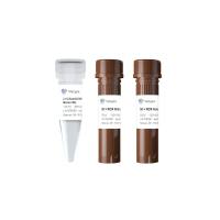 高灵敏性染料法定量PCR 检测试剂盒 ChamQ SYBR qPCR Master Mix（Q