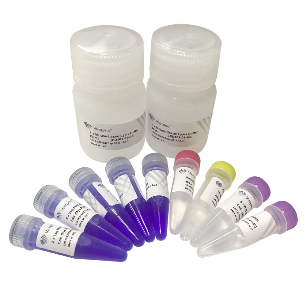 动物组织直接进行 PCR 反应的试剂盒 One Step Mouse Genotyping Kit（PD101）