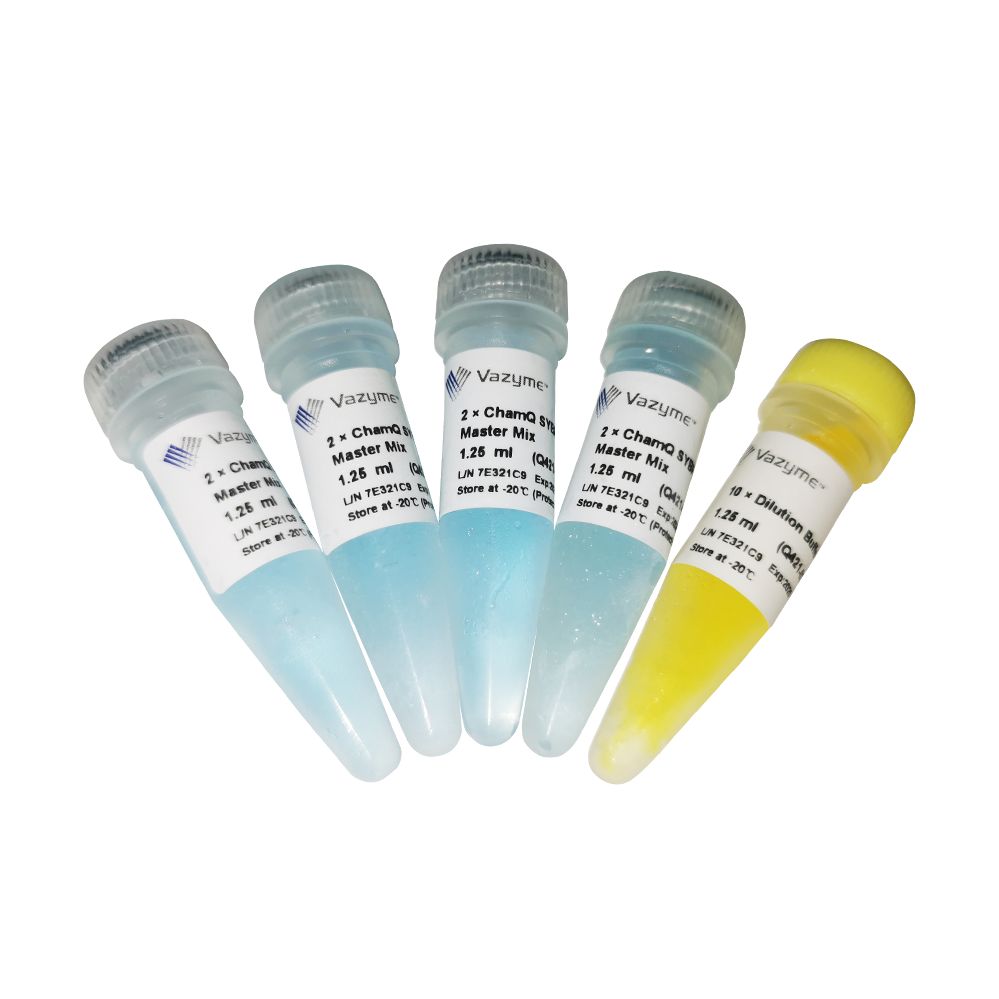 模板示踪型染料法定量PCR检测试剂盒 ChamQ SYBR Color qPCR Master Mix( Without ROX )（Q421）