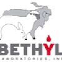 Rabbit anti-ARID2 Recombinant Monoclonal Antibody [BLR213K]