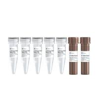 适用于探针法非洲猪瘟病毒（ASFV）检测预混液 Animal Detection U+ Probe Master Mix（ QV110）