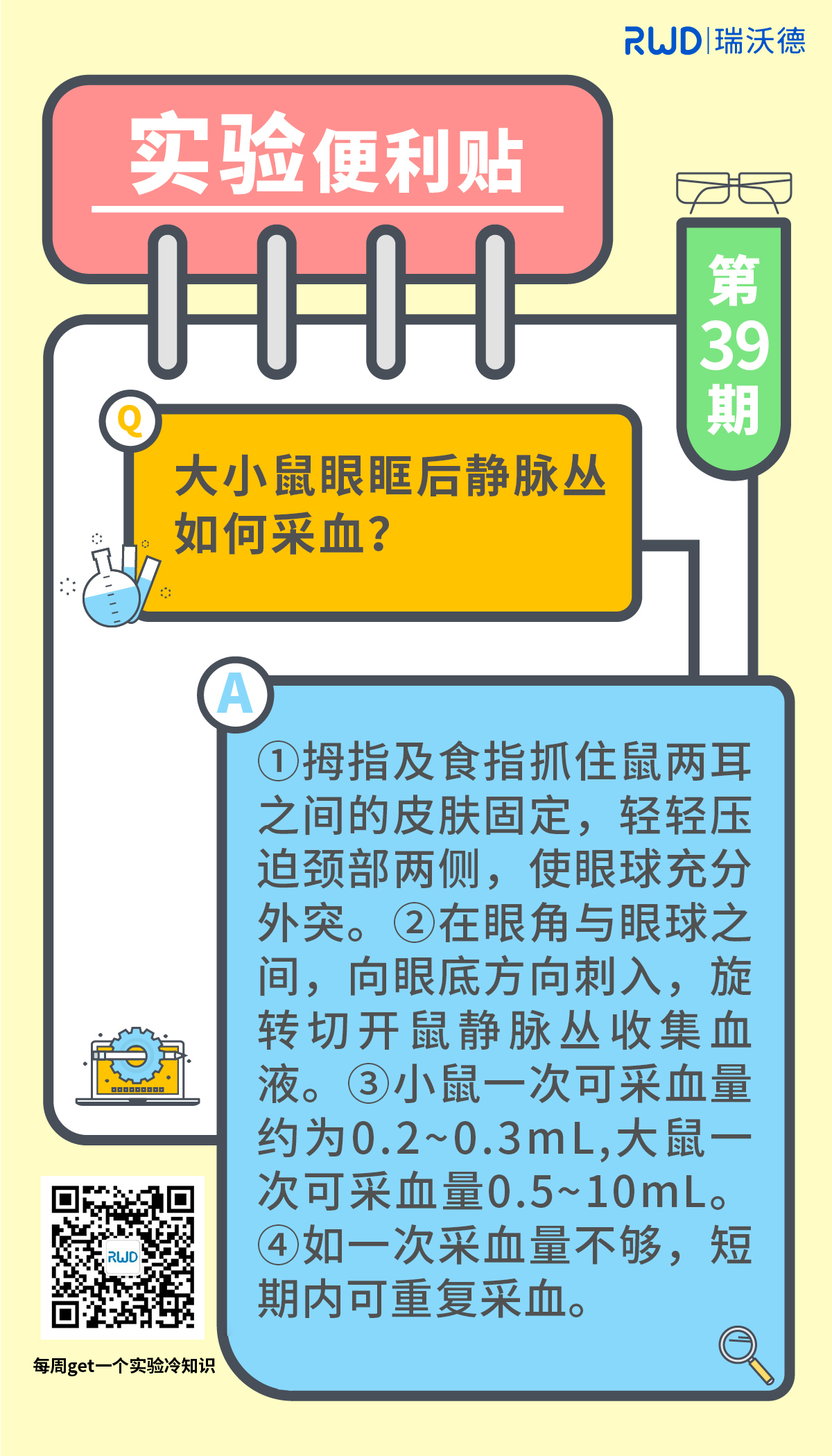 大小鼠眼眶后静脉丛如何采血？