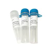 灵活多变的一体化超快速克隆试剂盒 ClonExpress Ultra One Step Cloning Kit(C115)