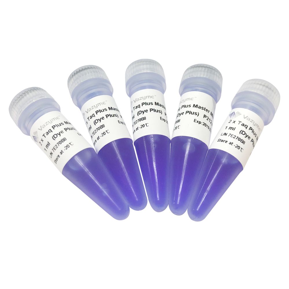 2 × Taq Plus Master Mix （Dye Plus）（比普通Taq 酶具有更高的扩增效率和保真度的DNA 聚合酶）（P212）