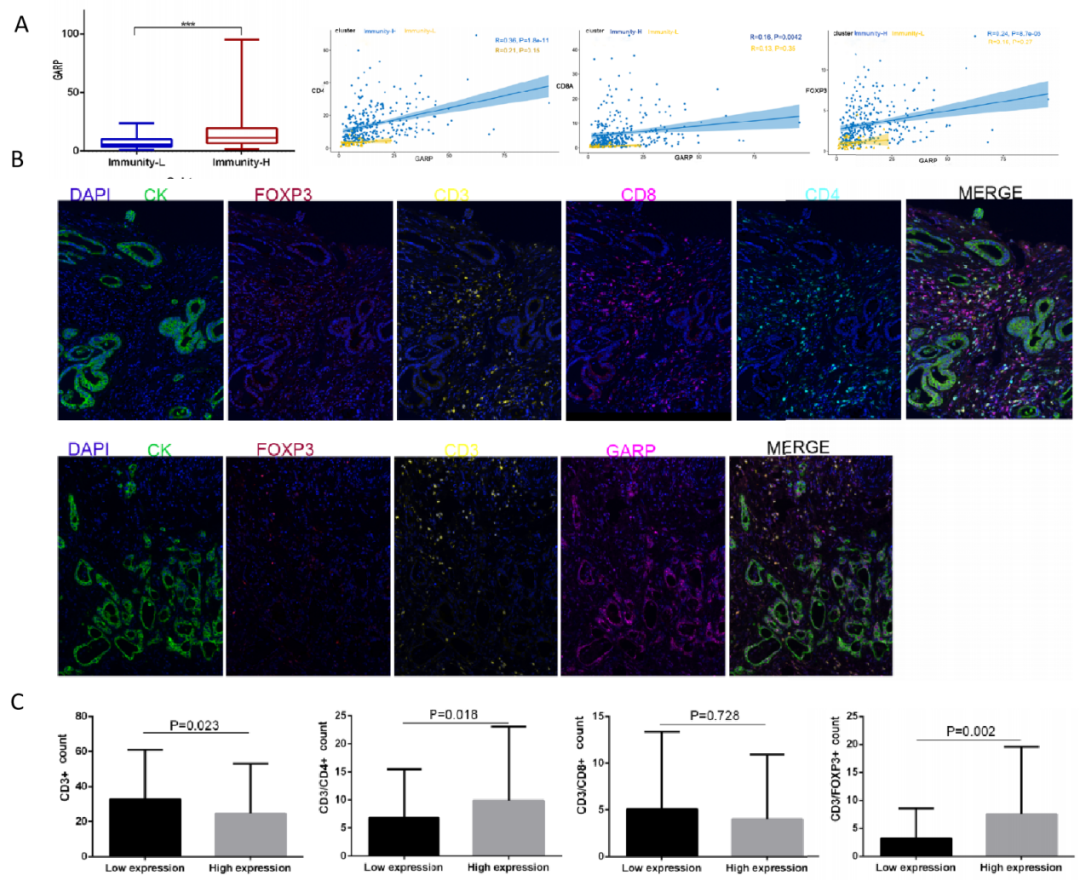 生信发文秒被拒？没关系，mIHC来帮您！
