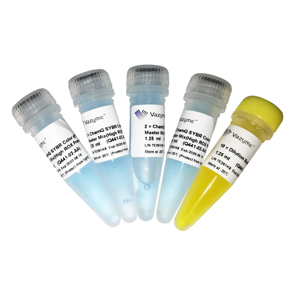 模板示踪型染料法定量PCR检测试剂盒 ChamQ SYBR  Color  qPCR Master Mix(High ROX Premixed)（Q441）