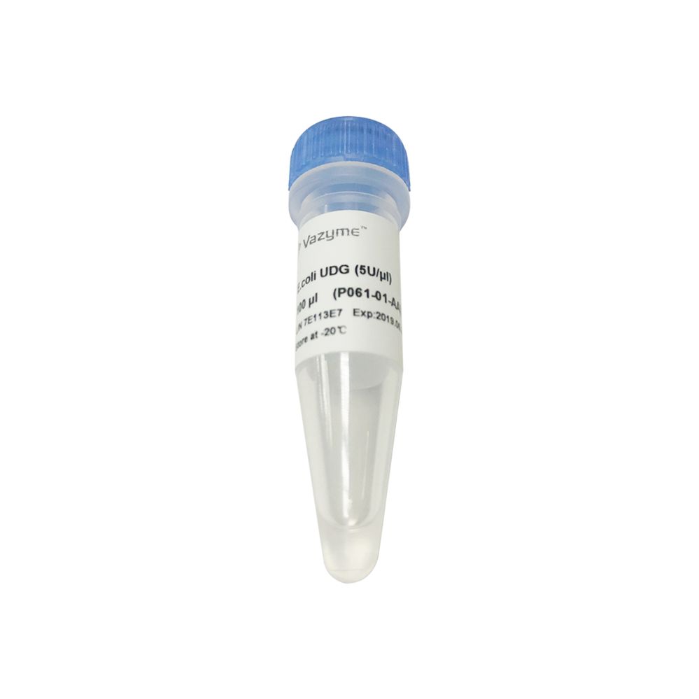 E.coli UDG（有效控制PCR/qPCR 污染）(P061)