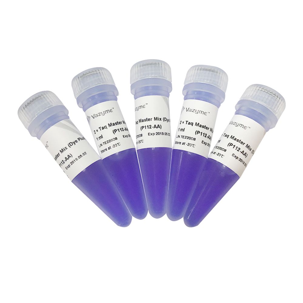 高纯度耐热DNA聚合酶 2 × Taq Master Mix (Dye Plus)（P112）