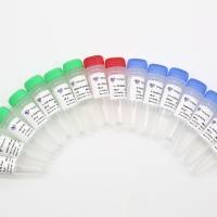 HiScript-TS 5'/3' RACE Kit (5’RACE & 3’RACE扩增试剂)(RA101)