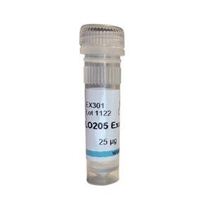 Instant exosomes from COLO205  冻干外泌体 EX301