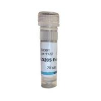 Instant exosomes from COLO205  冻干外泌体 EX301