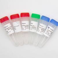 快速DNA文库构建试剂盒（适用于Ion Torrent平台） VAHTS Universal