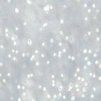 MEG-01人成巨核细胞白血病细胞(提供STR鉴定报告)