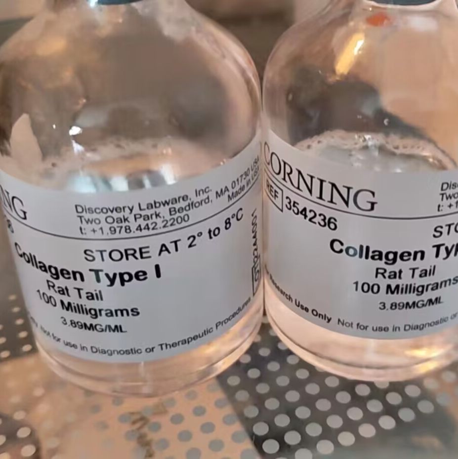 Corning® 354236 I型胶原蛋白，鼠尾，100 mg