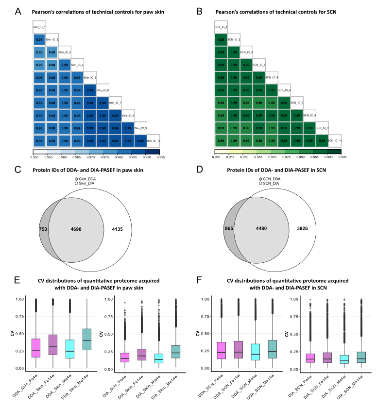 4D质谱技术深度解析小鼠蛋白质组在性别/年龄水平上的表达差异