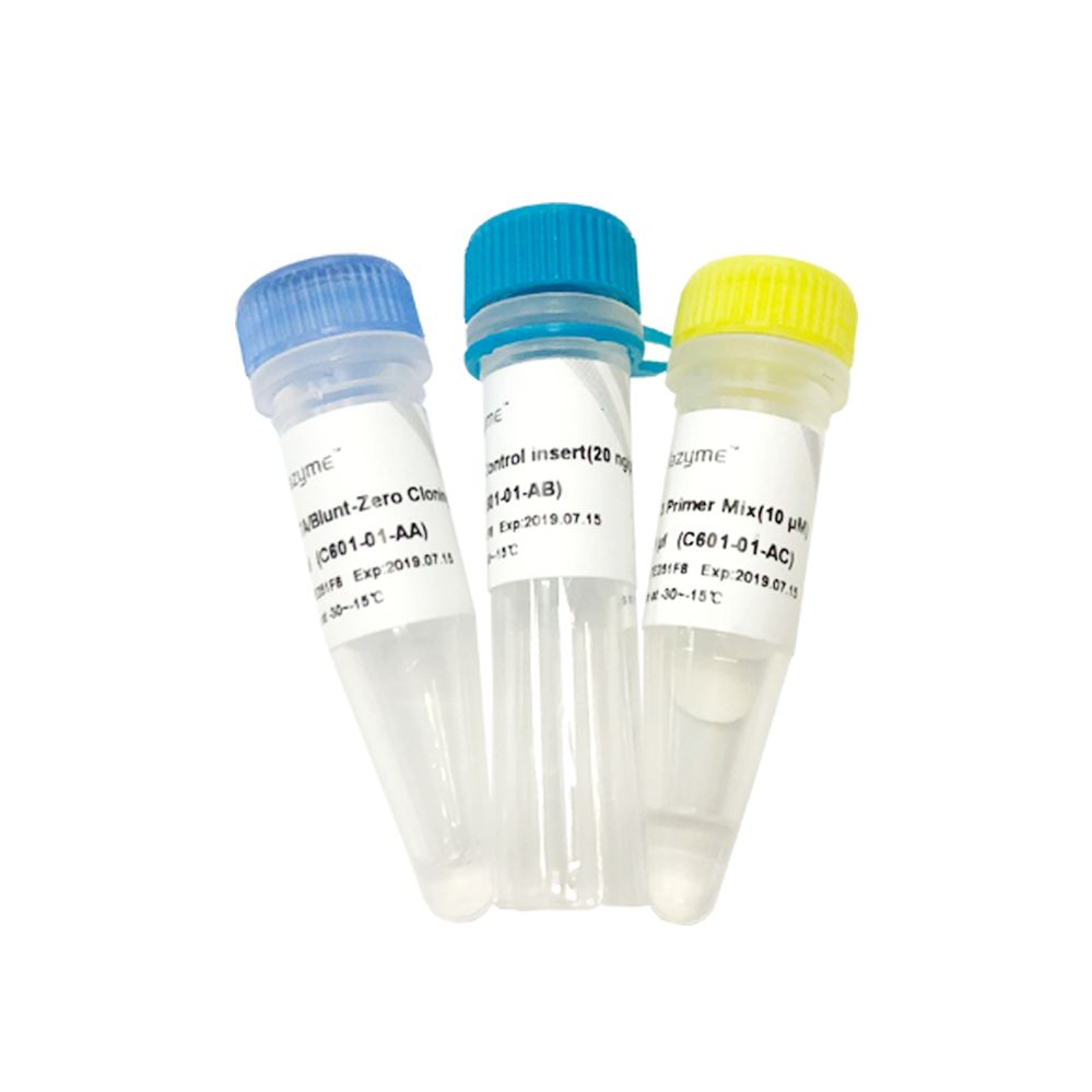 5 min TA/Blunt-Zero Cloning Kit（基于拓扑异构酶的超快速克隆试剂盒）（C601）
