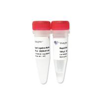 VAHTS Universal Adapter Ligation Module