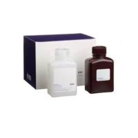 BD554714 Cytofix/Cytoperm破膜/固定试剂盒Fixation/Permeabilizati