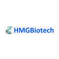 250 ug DPH1.1 anti HMGB1 monoclonal antibody