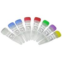 Illumina高通量测序平台文库构建试剂盒 VAHTS Universal Pro DNA Library Prep Kit for Illumina(ND608)