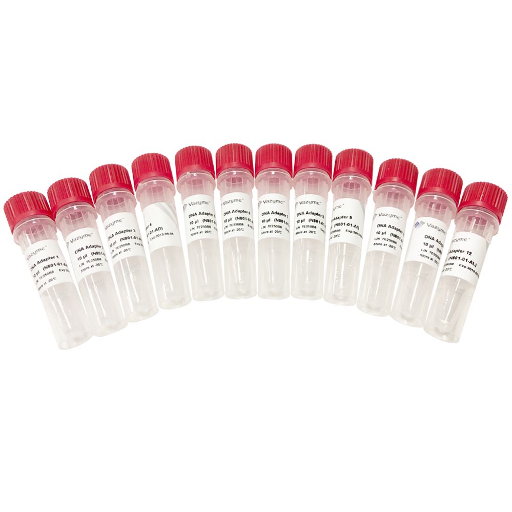 VAHTS DNA Adapters set1/set2 for Illumina（VAHTS Nano和VAHTS PCR-Free专用接头试剂盒）（N801/N802）