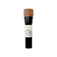 Ultra GelRed Nucleic Acid Stain (10000×)（ 高安全性跑胶助手）（ GR501）