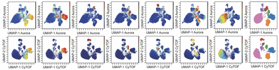 Cytek Biosciences在Malaghan医学研究所设立Cytek®卓越研究中心，推动流式细胞术社区创新!